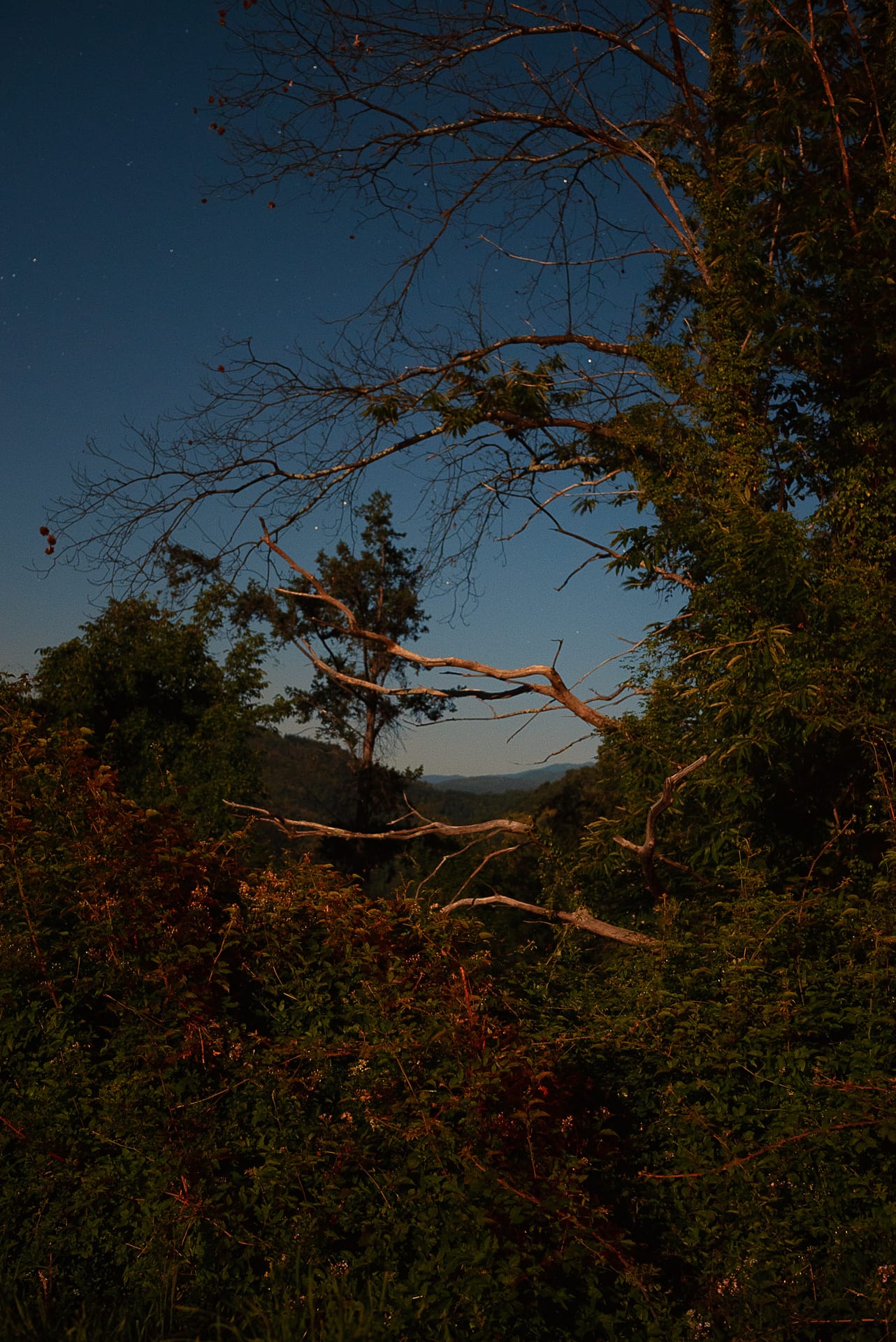 Country Mysteries 11