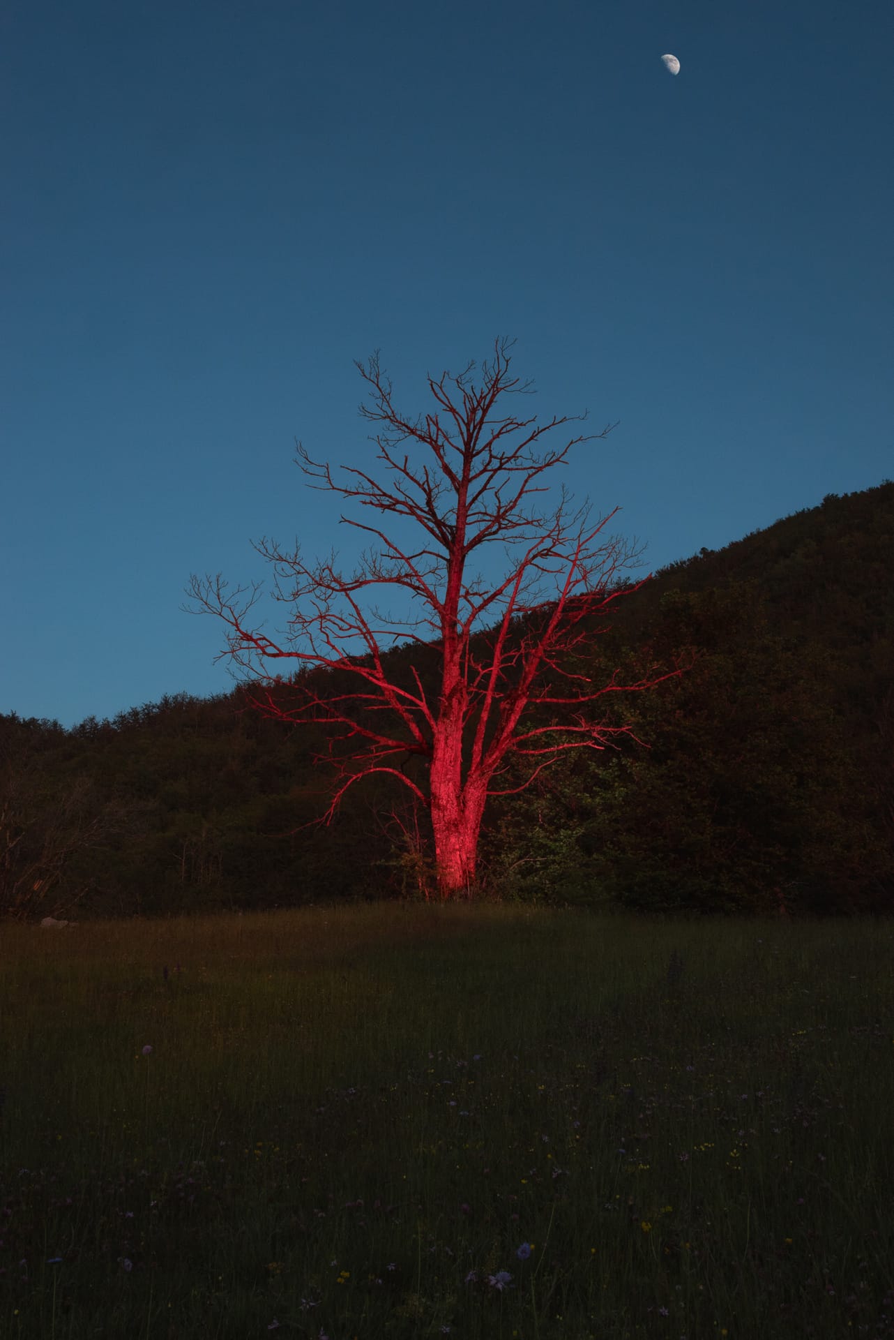 Country Mysteries 19